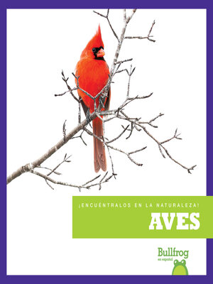 cover image of Aves